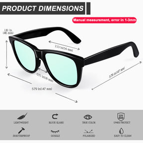 Classic Wayfarer Sunglasses MJ401