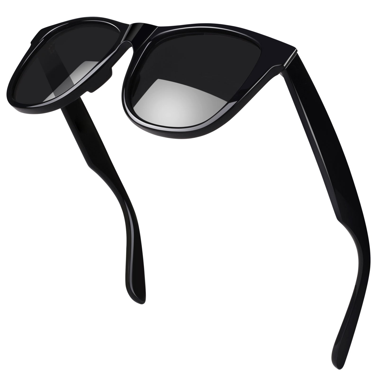 Classic Wayfarer Sunglasses MJ401