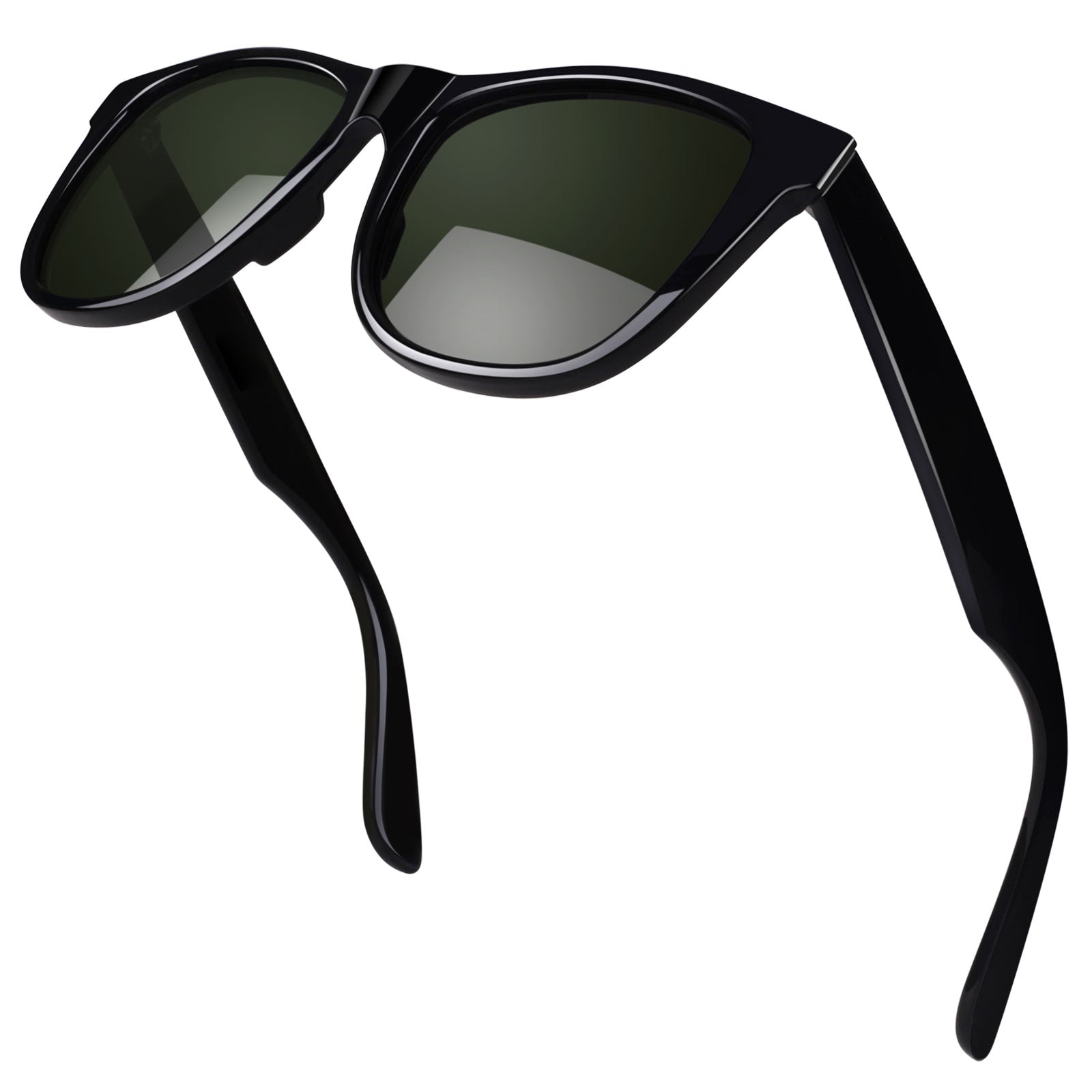 Classic Wayfarer Sunglasses MJ401