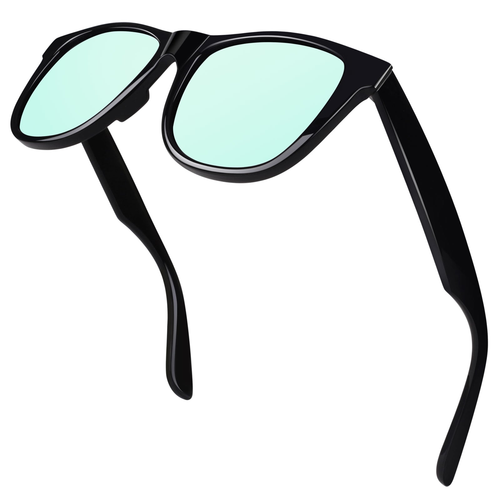 Classic Wayfarer Sunglasses MJ401